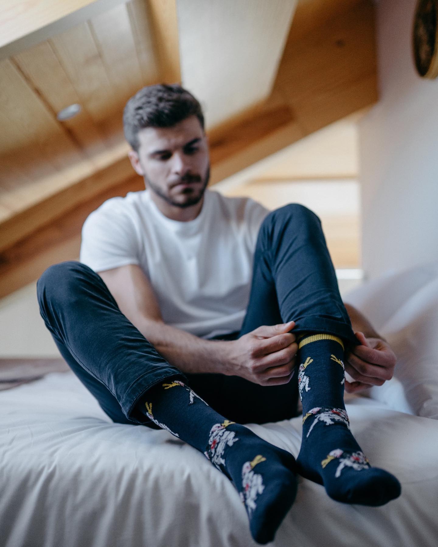 Bulldog Socks Kinda Socks